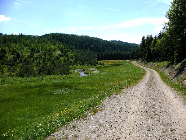 KRUŠNÉ HORY - CÍNOVEC,MOLDAVA,KOMÁŘÍ VÍŽKA